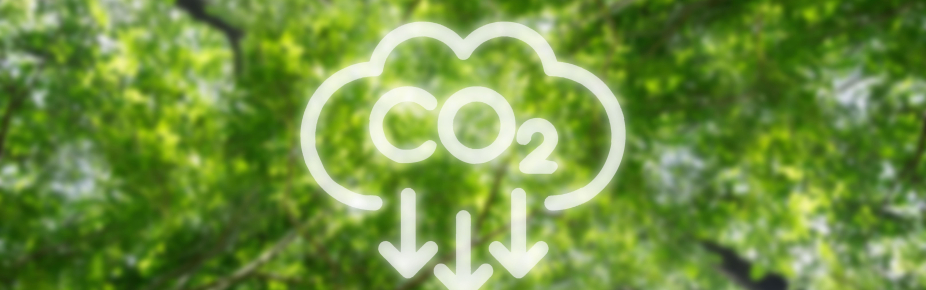 Tkrom pinturas obtém o selo Calculo-Reduzco pelo seu compromisso de reduzir a sua pegada de carbono.